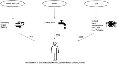 Diet as an Exposure Source and Mediator of Per- and Polyfluoroalkyl Substance (PFAS) Toxicity